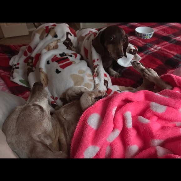 Meet your Posher, Nicole - Picture 4 of 5